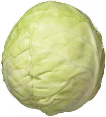 nesto Organic Cabbage Seeds Seed(1000 per packet)