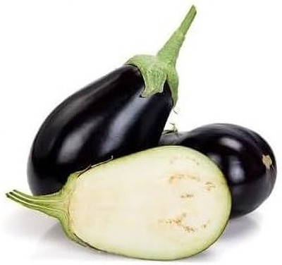 KNESSiN Early-Maturing Black Brinjal Eggplant Vegetable ( Seeds) Seed(2000 per packet)
