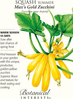 Qualtivate RES-4A Gold Zucchini Summer Squash Seeds Seed(30 per packet)