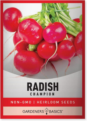 Qualtivate ICRA-1A Radish Champion Seed(300 per packet)