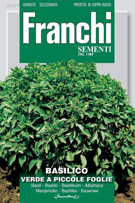 WILLVINE Basil - A Small Green - Seeds-[1000 Seeds] Seed(1000 per packet)