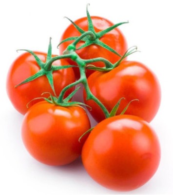 Quentova Organic Tomato Vegetable-SWAT-3F Seed(300 per packet)