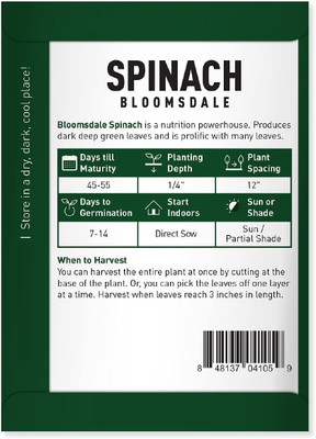 VibeX Spinach Seed(500 per packet)