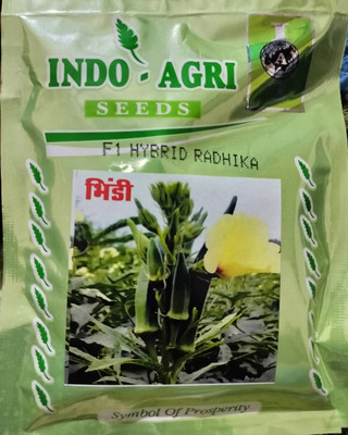 HYBRID 100g, F1 hybrid radhika bhindi/ okra seed highest yield variety early fruiting Seed(100 g)