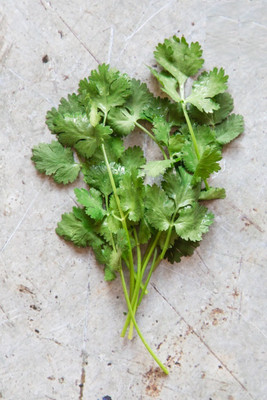 ZIXA Green leafy herb coriander Seed(100 per packet)