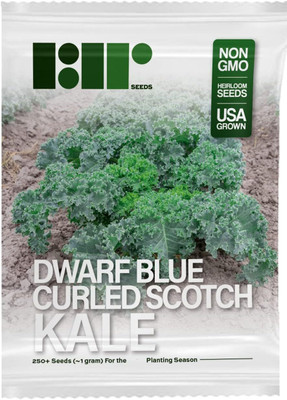 WILLVINE HUA -III Dwarf Blue Curled Scotch Kale [50g] Seed(15000 per packet)