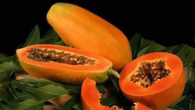 the green dotcom VNR Papaya Seed (600 per packet) Seed(10 per packet)