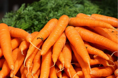 CYBEXIS Summer's Early Market Imported Carrot Variety4000 Seeds Seed(4000 per packet)