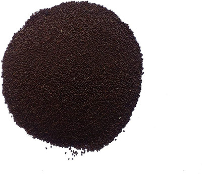 KNESSiN Krishna Black Holy Basil Selected Tulsi Seed(500 per packet)