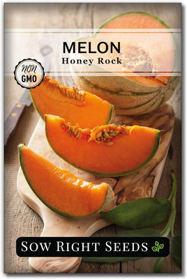 Qualtivate RES-5A Honey Rock Musk Melon Seed Seed(200 per packet)