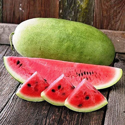 CYBEXIS PAU-45 - Watermelon Charleston Grey Green - (1350 Seeds) Seed(1350 per packet)