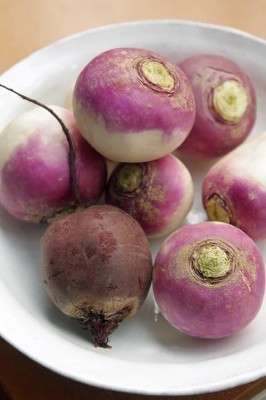 MYLAWN Turnip Seeds (Purple Top) Seed(1200 per packet)