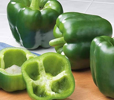 BDSresolve bell pepper seeds for home garden/capsicum seeds 77 Seed(77 per packet)