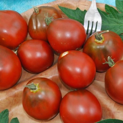 Quentova TOMATO JAPANESE BLACK-ROC-9A Seed(250 per packet)