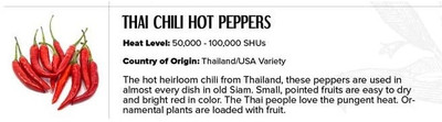 Qualtivate HUA-7A Thai Chilli Seed(300 per packet)