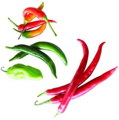 greenfarm NXC- Chilli Seeds/Mirchi Seeds , Best Quality , 400 X Seeds ,mnj90 Seed(400 per packet)