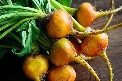 fixeded YELLOW BEET ROOT SEED PREMIUM BEETROOT FOR VIBRANT HEALTH Seed(30 per packet)