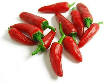 ActrovaX Hybrid Bullet Chilli Vegetable [2000 Seeds] Seed(2000 per packet)