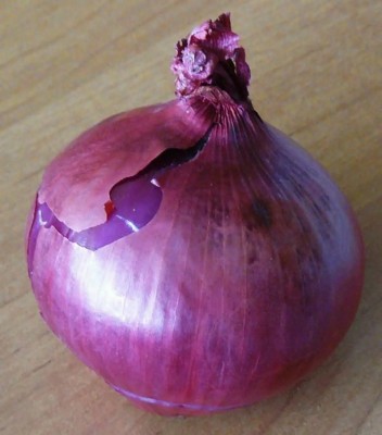 WATIKA RED CREOLE ONION Seed(500 per packet)