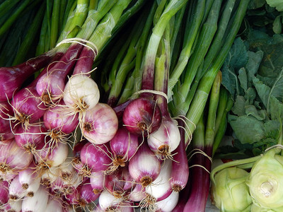 VibeX ® XXL-418 SCARLET BANDIT BUNCHING ONION Red Seed(1000 per packet)
