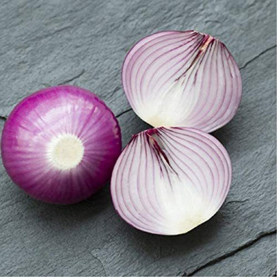 CYBEXIS Fast Germination Onion Seeds 2000 Seeds Seed(2000 per packet)