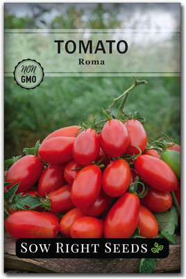 Qualtivate HUA-2A Roma Tomato Seed Seed(300 per packet)