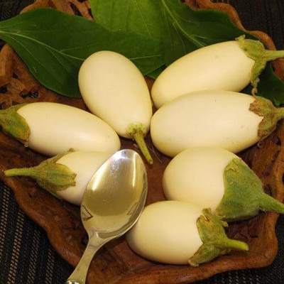 Biosnyg Fresh Brinjal Japanese White Egg Vegetable ( Seeds) Seed(1000 per packet)