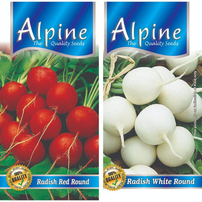 Finiox RADISH RED ROUND, RADISH WIHITE ROUND Seed(50 per packet)