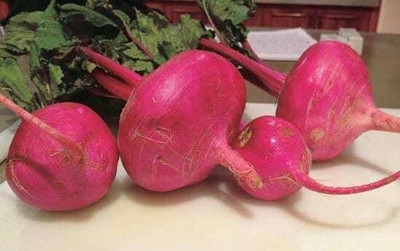 Quentova Scarlet Queen Turnip-VXL-10Y Seed(200 per packet)