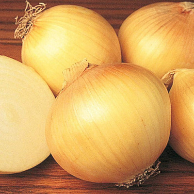 KNESSiN Yellow Sweet Spanish Onion Seed(200 per packet)