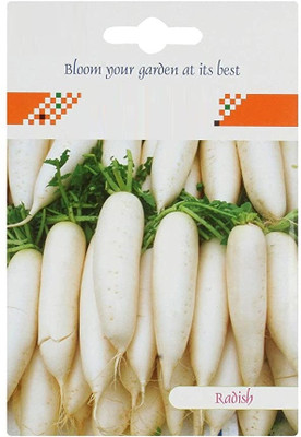 CYBEXIS Radish Hybrid Seeds2400 Seeds Seed(2400 per packet)