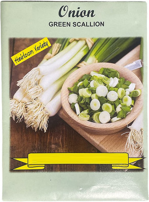 Qualtivate ICRA-3A Onion- Green Scallion Seeds Seed(500 per packet)