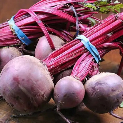 Cloud Farm Beetroot seeds for home garden Seed(170 per packet)