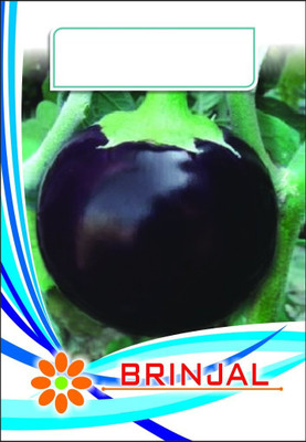 CYBEXIS ATS-50 - Brinjal Purple Round Desi - (450 Seeds) Seed(450 per packet)