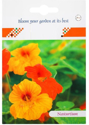CYBEXIS Nasturtium Mix Seed(50 per packet)