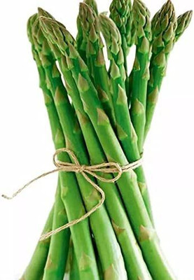 CYBEXIS Hybrid Asparagus Seeds High Yield400 Seeds Seed(400 per packet)