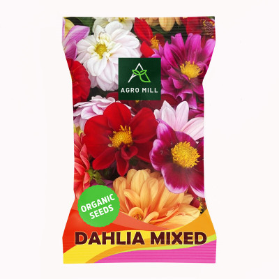 AGRO MILL DAHLIA MULTIFLORA DOUBLE MIXED PREMIUM QUALITY FLOWER Seed(20 per packet)