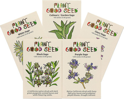 CYBEXIS NBIR-59 - Sage Collection-BlackClaryGardenPurpleWhite - (1350 Seeds) Seed(1350 per packet)