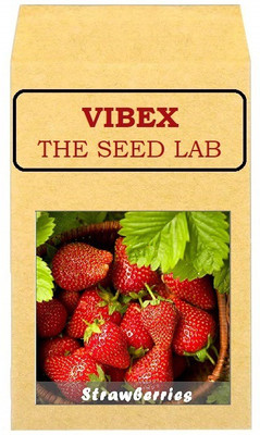 CYBEXIS Heirloom Strawberries Hybrid Seeds100 Seeds Seed(100 per packet)