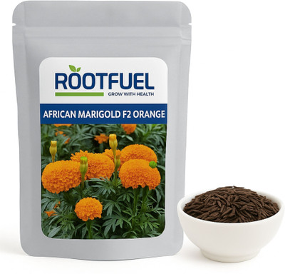 Happy Bazaar African Marigold Orange Seed(200 g)