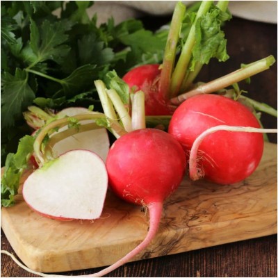 VibeX LX-81 - German Giant Radish - (750 Seeds) Seed(750 per packet)