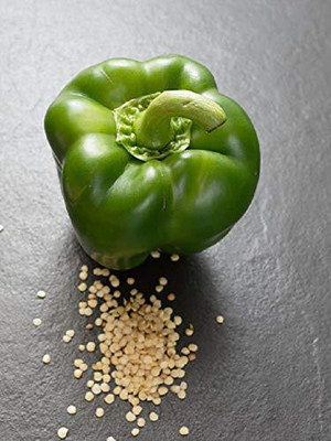 Qualtivate PUAS-3A Capsicum | Shimla Mirch Green Seeds Seed(100 per packet)