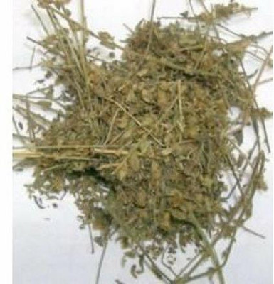 Urancia Shankhpushpi- 100 Gram Seed(1 per packet)
