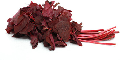 Quentova Red Amaranth-HQL-6G Seed(250 per packet)
