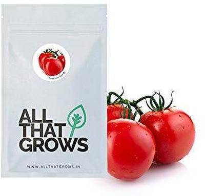 WILLVINE Round Bombay Tomato [25g, 7500 Seeds] Seed(7500 per packet)