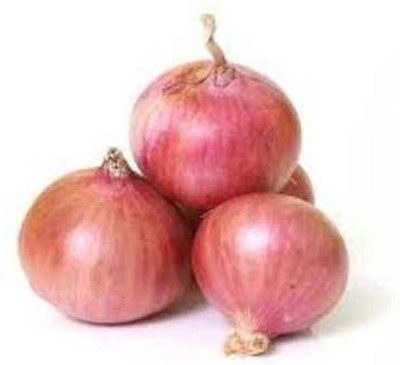 Qualtivate HYB-8A Punjab Onion Seeds Seed(500 per packet)