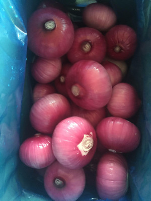 Avysa Nasik Onion Seed(3000 per packet)