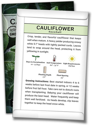 Qualtivate PUAS-2A Cauliflower Seeds, Phool Gobhi Seed(300 per packet)