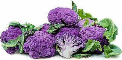Aywal Purple cauliflower Gobi Seed(160 per packet)
