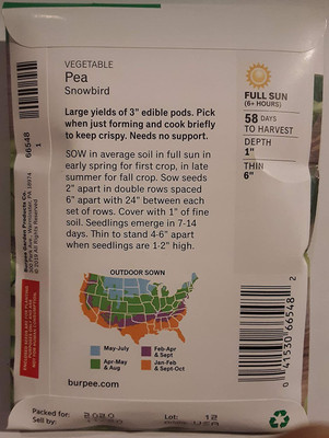 VibeX XLR-6 - Pea Snow Snowbird - (300 Seeds) Seed(300 per packet)
